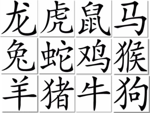 Chinese Symbol Tattoo (12 Pack)