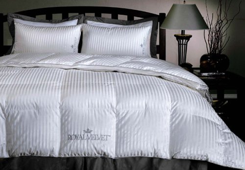 Royal Velvet Silver Elegance 1000-Thread-Count Hungarian White Goose Down Comforter