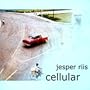 Cellular Sky Meeting
