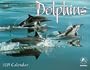 Dolphins