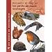 Recueillir et soigner les petits animaux sauvages