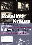 Revue Thames & Hudson  / A Voyage on the North Sea: Art in the Age of the Post-Medium Condition