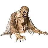 Gaseous Zombie Animated Fog