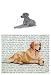 Weimaraner Glass Cutting Board