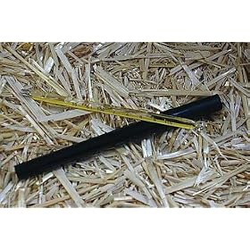 Veterinary Thermometer with Pen Case