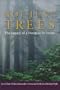 Not Just Trees: The Legacy of a Douglas-Fir Forest