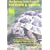 The Tortoise Trust Guide to Tortoises and Turtles