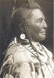 Native Nations: Chiefs and Warriors (Native Nations Library)