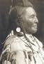 Native Nations Miniseries: Chiefs and Warriors