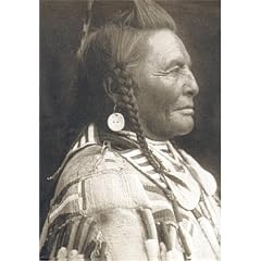 Native Nations: Chiefs and Warriors (Native Nations Library)