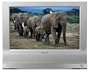 Sony MFM-HT75W Widescreen 17" LCD Monitor with TV Tuner (Silver)