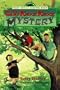 The Camp Knock Knock Mystery (Yearling First Choice Chapter Book)