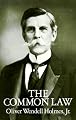 The Common Law