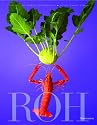 Roh