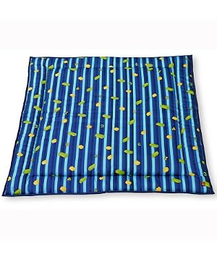 LEGO DUPLO Padded Playmat Deluxe - Blue