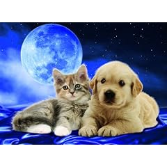 Ravensburger 14862 - Goldige Freunde 500 Teile Puzzle