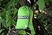 WoneNice Camping Hammock - Portable Lightweight Double Nylon Hammock, Best Parachute Hammock with 2 x Hanging Straps for Backpacking, Camping, Travel, Beach, Yard and Garden