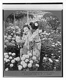 Stereoview (L): A chrysanthemum secret Japan