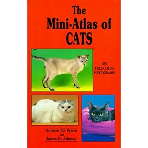 Atlas Cats