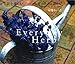 Everyday Herb\G߂yރn[uƍ̂炵 (Rucola books)