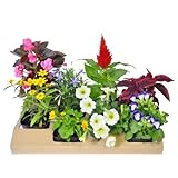 ���i�̏ڍ�