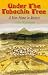 Book Under the Tabachin Tree : At Home in Mexico : A New Home in Mexico