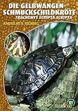 Die Gelbwangenschmuckschildkröte: Tracheyms scripta scripta