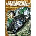 Die Gelbwangenschmuckschildkr�te: Tracheyms scripta scripta