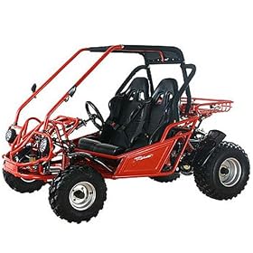 150cc Go Kart with Fully Automatic Transmission with Reverse !