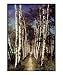 Birch Path Scenic Giclee Poster Print by La Donna Welter, 16x20