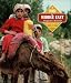 Books : The Middle East: Struggle for a Mideast Homeland (Children in Crisis)
