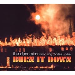 Burn It Down