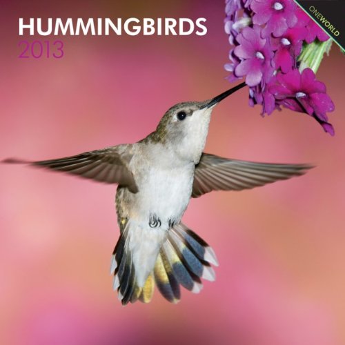 Hummingbird Calendar 51DNHnm0T4L Hummingbird Calendar