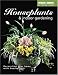 Book Houseplants and Indoor Gardening (Black & Decker Outdoor Home Series)