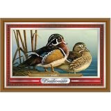 Trademark Budweiser Wildlife Series Mirror (Ducks)