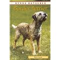 Border Terrier
