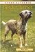 Image of Border Terrier