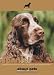 cocker spaniel - Cocker Spaniel (About Pets)
