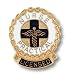 Prestige Medical Emblem Pin, Licensed Practical Nurse (Wreath Edge)