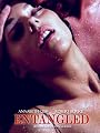 play video on Amazon Instant Video
