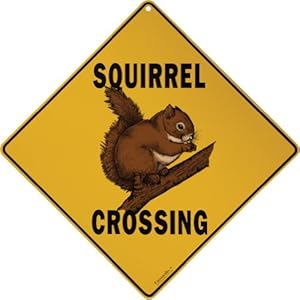 Amazon.com - Squirrel Crossing Sign - Backyard Wild Animal Products