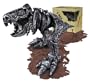 Mega Bloks Magnext Magna Bones T-Rex in Crate