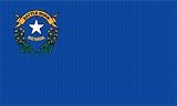 Nevada State Flag 3x5 3 x 5 Brand NEW Banner