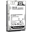 Western Digital 250 GB Scorpio Black SATA 3 Gb/s 7200 RPM 16 MB Cache Bulk/OEM Notebook Hard Drive - WD2500BEKT