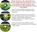 The Mega Marketing, Success Principles and Inner Game for Car Insurance Web Biz 3 CD Course by Solomon Z Jones