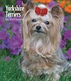 Yorkshire Terriers 2009 Hardcover Weekly Engagement Calendar