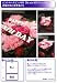 【878HANAYA】Pink MIX Big size【生花】