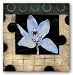 Untitled X by Ana Merlo 24"x24" Art Print Poster