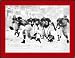 Snow Bowl Ohio State Football Photo