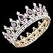 Stuff Crystal Crown Tiaras Prom Party Wedding Bridesmaid Hair Piece with Bobby Pins (Amethyst)